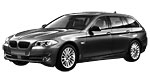 BMW F11 P177A Fault Code